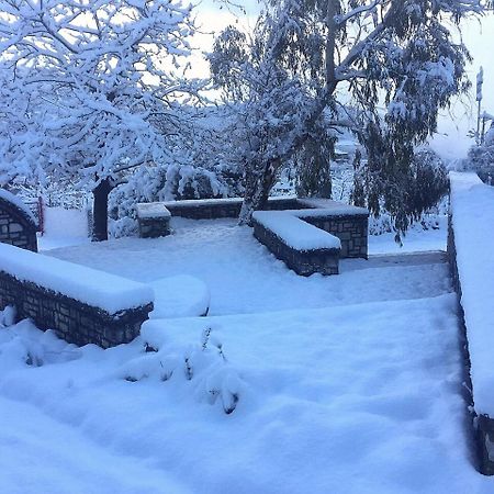 Elafos Spa Hotel Ellinikón エクステリア 写真